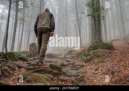 Randonneurs dans le brouillard sur le chemin du mont 'Hirschenstein' dans la forêt bavaroise. Banque D'Images