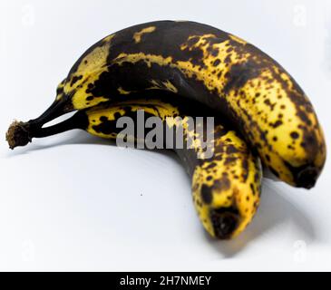 Trois sur des bananes mûres regroupées sous forme de bouquet et fixées sur un fond blanc Banque D'Images