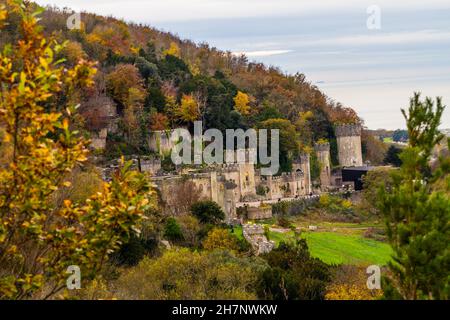 Téléobjectif du château de Gwrych une semaine avant que je ne soit une célébrité Obtenez-moi d'ici 2021.Entouré d'arbres d'automne, paysage. Banque D'Images