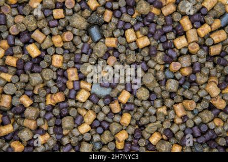 Granules de pêche à la carpe de différentes tailles et couleurs.Fond d'appât de pêche Banque D'Images