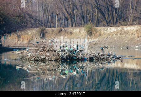 Ganderbal, Jammu-et-Cachemire, Inde.24 novembre 2021.Les sacs en plastique et autres déchets sont attrapés et s'accumulent dans les arbres et les arbustes le long de la rivière Sindh, dans le district de Ganderbal du Cachemire contrôlé par l'Inde, le 24 novembre 2021.Crédit: Adil Abbas/ZUMA Wire/Alay Live News Banque D'Images