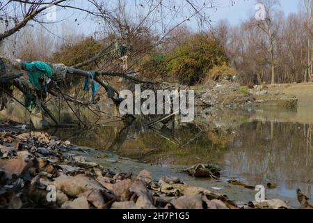 Ganderbal, Jammu-et-Cachemire, Inde.24 novembre 2021.Les sacs en plastique et autres déchets sont attrapés et s'accumulent dans les arbres et les arbustes le long de la rivière Sindh, dans le district de Ganderbal du Cachemire contrôlé par l'Inde, le 24 novembre 2021.Crédit: Adil Abbas/ZUMA Wire/Alay Live News Banque D'Images