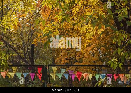 Jolies feuilles d'automne jaunes profondes et drapeaux colorés pour les fêtes Banque D'Images