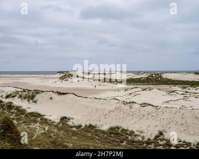 Paysage de dunes de sable appelé la voie des planches sur l'île d'Amrum, en Allemagne, dans le nord de la Frise. Banque D'Images