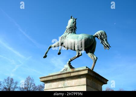 Bronzefigur, das Wappentier von Niedersachsen im Welfengarten vor dem Campus der Leibniz Universität à Hanovre, Das Roß, le cheval de Basse-Saxe Banque D'Images