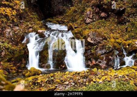 Une petite cascade qui coule sur des rochers mousseux Banque D'Images