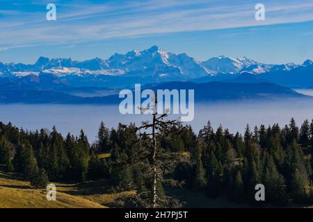 Sur les Sentes de la Dole de la Rippe, montagnes du Jura, Suisse, en automne Banque D'Images