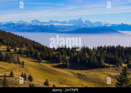 Sur les Sentes de la Dole de la Rippe, montagnes du Jura, Suisse, en automne Banque D'Images