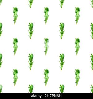 Feuilles de romarin vert frais, brindilles et branches motif sans couture sur fond blanc. Banque D'Images