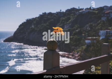 Un ensemble décoratif avec une noix de coco et des tournesols jaunes artificiels insérés dans elle debout sur le support en béton d'une clôture en bois d'une plage tropicale ensoleillée Banque D'Images