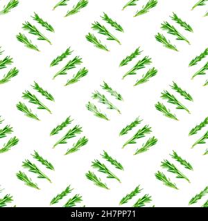 Feuilles de romarin vert frais, brindilles et branches motif sans couture sur fond blanc. Banque D'Images