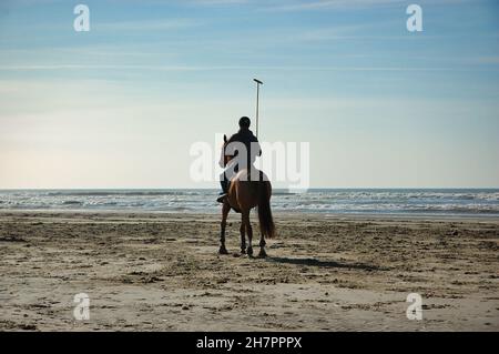 polo avec raquette à cheval sur une plage de sable.Le temps est clair et froid. Les vagues se brisent sur la mer. Banque D'Images