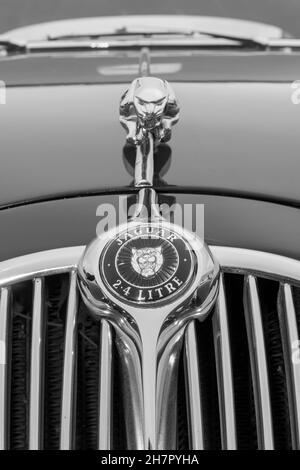 Honiton.Devon.United Kingdom.2 juillet 2021.gros plan de l'avant d'une marque Jaguar 2 exposée au salon du comté de Devon Banque D'Images