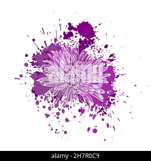 Aster fleurs avec des taches pourpres.Illustration vectorielle Illustration de Vecteur