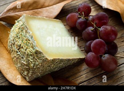 tranche de fromage pecorino avec du foin de montagne, sur fond automnal avec des raisins noirs Banque D'Images
