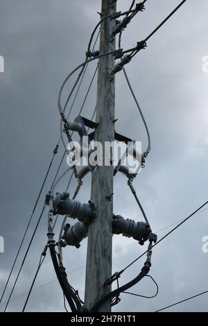 Vue rapprochée des isolateurs électriques et des connecteurs sur une colonne de puissance en bois. Banque D'Images