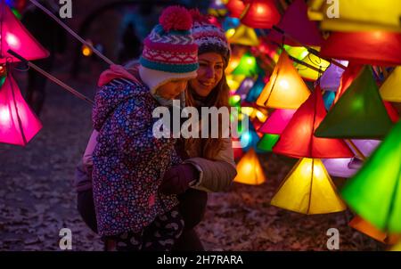 Wakehurst, Ardingly, Sussex.24 novembre 2021.Glow Wild, l'un des principaux événements d'hiver du Sussex de sa 8e année, présente de nouvelles installations lumineuses majeures d'artistes primés, plus de 300 lanternes artisanales et le plus grand arbre de Noël vivant du Royaume-Uni à 37 M.Wakehurst est le jardin botanique sauvage de Kew, près de Haywards Heath, dans le Sussex.Crédit : Malcolm Park/Alay Live News. Banque D'Images