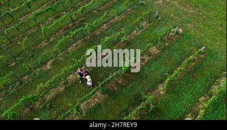 Vue aérienne de deux personnes marchant entre des rangées de vignes dans le vignoble de Bailey's Run Winery, New Glarus, Wisconsin, États-Unis Banque D'Images