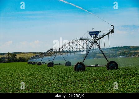 Système d'irrigation à pivot central pour l'arrosage des jeunes récoltes de maïs dans le centre du Dakota du Nord. Banque D'Images