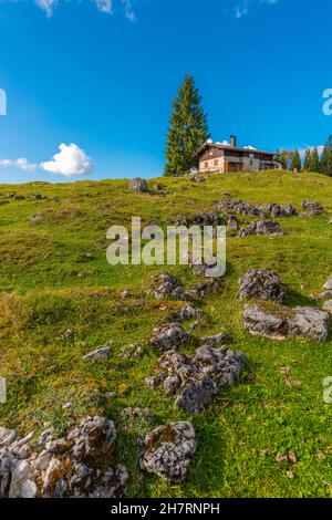 Winklmoosalm ou Winklmoos Alp, plateau élevé 1170m ASL, Reit im Winkl, Chiemgau, haute-Bavière, Alpes bavaroises,Allemagne du Sud, Europe Banque D'Images