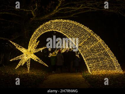 Cowdray, Midhurst, West Sussex, Royaume-Uni.24 novembre 2021.Superbe exposition lors de la nuit d'ouverture de Noël à Cowdray, dans le domaine historique de Cowdray Park, au cœur du parc national de South Downs.L'expérience magique et immersive comprend une promenade de fête d'un kilomètre de long présentant une série de magnifiques installations d'art lumineux à grande échelle inspirées par le thème de la « joie » qui capturent la magie de cette période merveilleuse de l'année.Crédit : Carolyn Jenkins/Alay Live News Banque D'Images