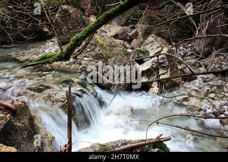 l'écoulement d'eau froide dans un ruisseau entre les rochers d'une forêt d'automne et les branches d'arbres couverts de mousse verte boueuse en toscane Banque D'Images