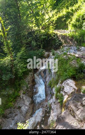 Un ruisseau animé dévie les rochers dans la réserve naturelle de Valle delle Ferriere sur la côte amalfitaine, en Italie. Banque D'Images