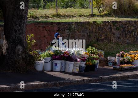 Un vendeur de fleurs coupées dans la ville sud-africaine de Cape Town Banque D'Images