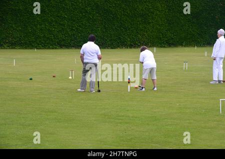 Une femme mûre qui atteint le ballon avec un maillet en bois sur la pelouse du Croquet à Levens Hall & Gardens, parc national de Lake District, Cumbria, Angleterre, Royaume-Uni. Banque D'Images