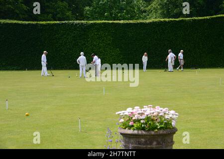 Groupe d'hommes et de femmes adultes jouant à Croquet sur la pelouse à Levens Hall & Gardens, Lake District National Park, Cumbria, Angleterre, Royaume-Uni. Banque D'Images