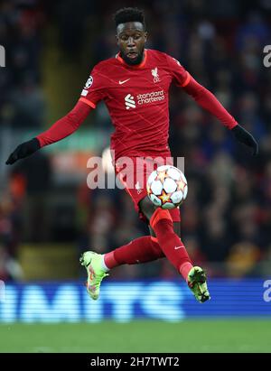 Liverpool, Angleterre, le 24 novembre 2021.Divock Origi de Liverpool lors du match de l'UEFA Champions League à Anfield, Liverpool.Crédit photo à lire: Darren Staples / Sportimage crédit: Sportimage / Alay Live News Banque D'Images