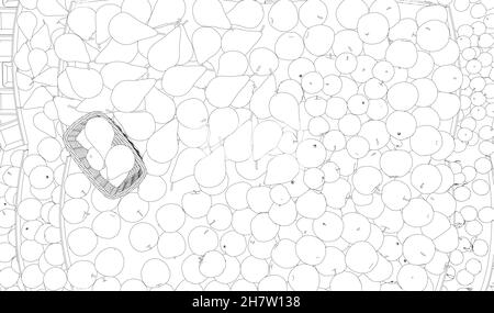 Contour d'un tas de pommes et de poires, et d'un panier de lignes noires isolées sur fond blanc.Vue de dessus.Illustration vectorielle Illustration de Vecteur