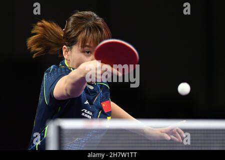 Houston.24 novembre 2021.Chen Xingtong est en compétition lors du match féminin de 64 entre Chen Xingtong de Chine et Zhu Chengzhu de Hong Kong en Chine lors des finales des Championnats du monde de tennis de table 2021 à Houston, aux États-Unis, le 24 novembre 2021.Crédit : Wu Xiaoling/Xinhua/Alay Live News Banque D'Images