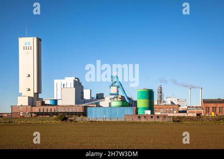 La mine de sel de roche de Borth à Rheinberg-Borth près de Wesel sur la Basse-Rhin, Rhénanie-du-Nord-Westphalie, Allemagne.L'opérateur est K+S Minerals et Agricultu Banque D'Images