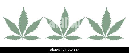 Bannière plate simple de trois feuilles consécutives de cannabis indica de couleur bule-vert sur fond blanc, un héros étroit ou une image d'affiche Banque D'Images