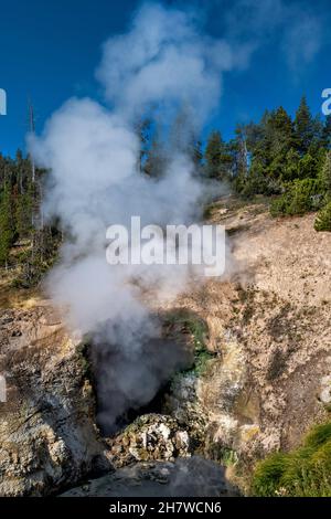 Dragons Mouth Spring, fumarole dans la zone thermale du volcan Mud du parc national de Yellowstone, Wyoming, États-Unis Banque D'Images