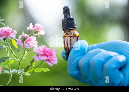 Scientifiques médecin tenant une bouteille d'huile d'herbe de rose plante pour la peau et le produit de parfum, le dosage de gouttelettes, la biologie et l'écologie alternative médecine de la nature. Banque D'Images