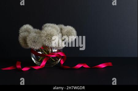 Un bouquet de pissenlits blancs moelleux dans un vase en verre avec un ruban de satin rouge sur fond sombre.Place pour votre texte.Photo horizontale. Banque D'Images