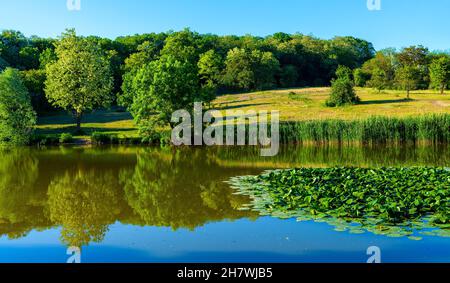 Poznan, Pologne - 5 juin 2015 : vue panoramique sur le lac et le paysage forestier du nouveau ZOO jardin zoologique dans le district de Malte Banque D'Images