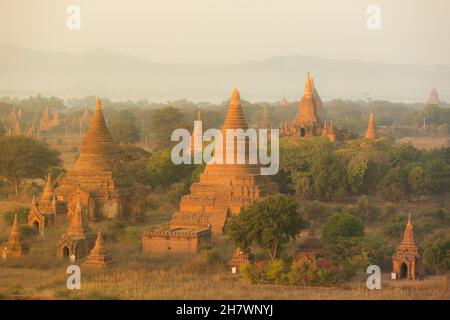 Lumière du matin sur les temples de Bagan Banque D'Images