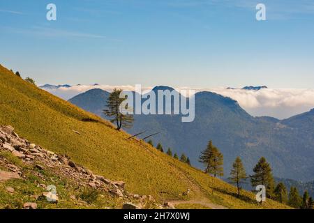 Les pentes de Monte Morgenleit près de Sauris di Sopra, province d'Udine, Friuli-Venezia Giulia, ne Italie.Vallée de Sauris en arrière-plan.Fin septembre Banque D'Images