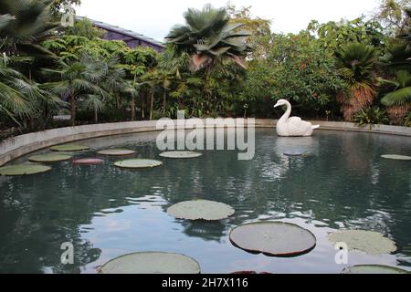 lac artificiel dans les jardins près de la baie de singapour Banque D'Images