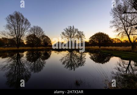 Réflexions dans White Ash Pond à Richmond Park, un parc de cerfs à Richmond upon Thames, Londres, se, sur une fin d'automne à tôt matin d'hiver Banque D'Images
