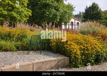 Hamm, Rhénanie-du-Nord-Westphalie, Allemagne - dans le parc Maximilian les fleurs fleurissent dans le jardin vivace.Le parc Maximilian dans la ville westphalienne de Hamm est un Banque D'Images