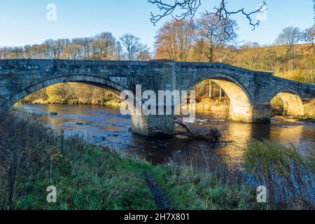 21.11.2021 Barden Bridge, Wharfedale, North Yorkshire, Royaume-Uni.Le pont Barden est un pont à trois arches à bosse qui traverse la rivière Wharfe au nord Banque D'Images