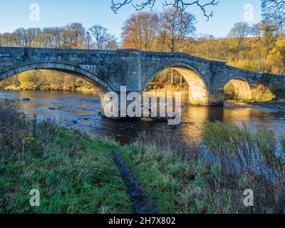 21.11.2021 Barden Bridge, Wharfedale, North Yorkshire, Royaume-Uni.Le pont Barden est un pont à trois arches à bosse qui traverse la rivière Wharfe au nord Banque D'Images