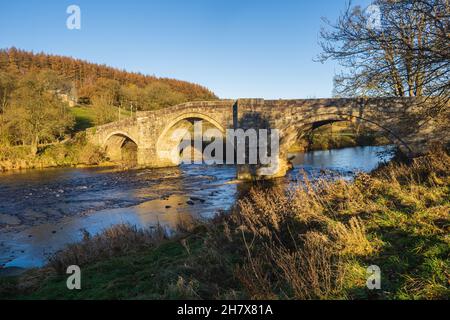 21.11.2021 Barden Bridge, Wharfedale, North Yorkshire, Royaume-Uni.Le pont Barden est un pont à trois arches à bosse qui traverse la rivière Wharfe au nord Banque D'Images