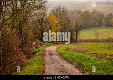 Une route de ferme bordée d'arbres et de buissons aux couleurs automnales mène vers le bas d'une colline dans un cadre rural Banque D'Images