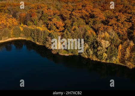 Vue aérienne d'une forêt de couleur automnale sur une rive d'un lac bleu Banque D'Images