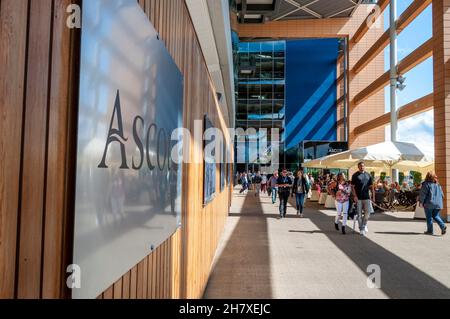 Hippodrome d'Ascot, Royal Berkshire, Royaume-Uni.Personnes, visiteurs, logo en concourse avec espace café et la lumière du soleil en streaming à travers l'architecture ouverte Banque D'Images